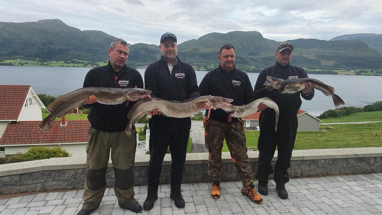 Kvernesfjorden Apartments Steinsgrenda Luaran gambar
