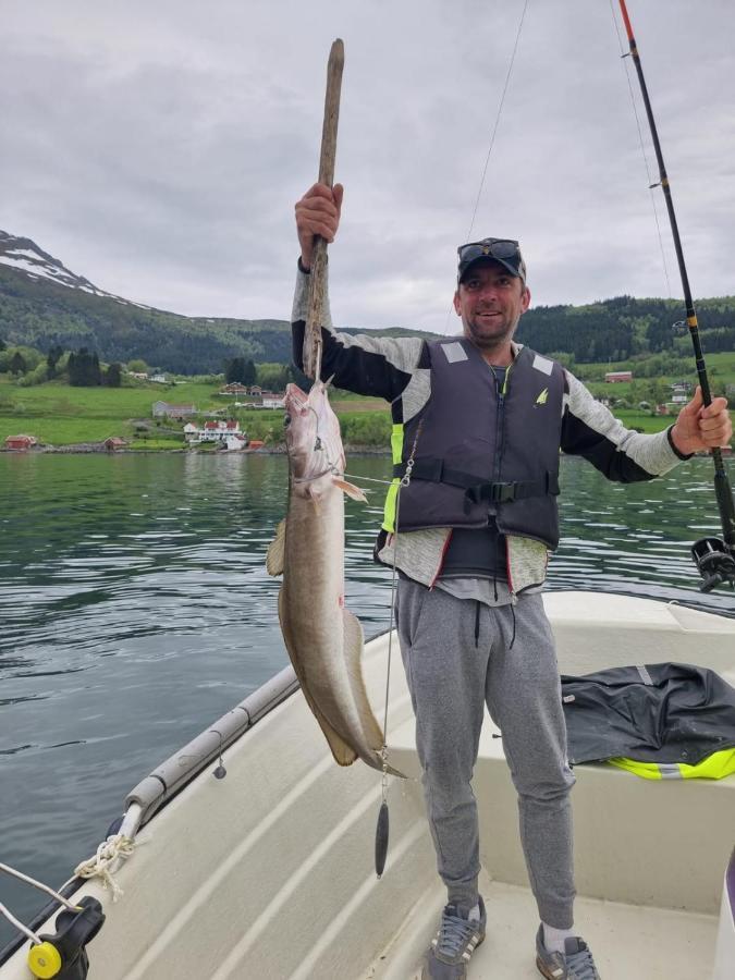 Kvernesfjorden Apartments Steinsgrenda Luaran gambar