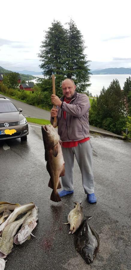 Kvernesfjorden Apartments Steinsgrenda Luaran gambar